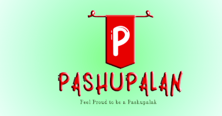 Livestock & farmers collage