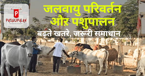 जलवायु परिवर्तन और पशुपालन