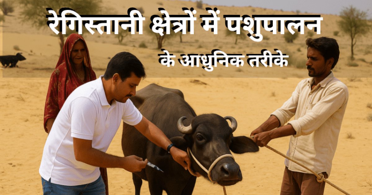 रेगिस्तानी क्षेत्रों में पशुपालन के आधुनिक तरीके